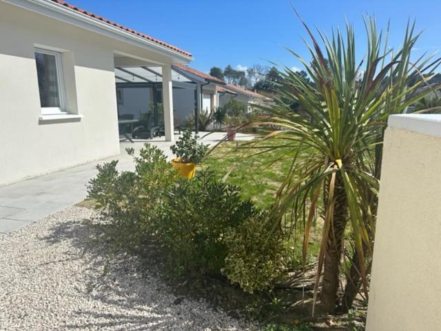 Belle Maison Malou Climatisee Calme, Piscine, Jacuzzi 3Km Plage Labenne Capbreton Ngoại thất bức ảnh